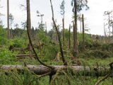 2022-05-20 - Tornado beim Sturmtief Emmelinde Solling - Steinlade bis Gehren (17)